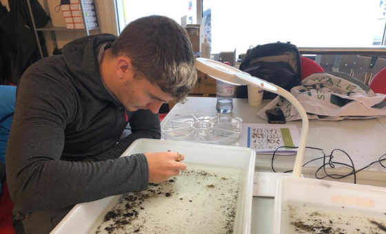 SmartRivers - Wildfish