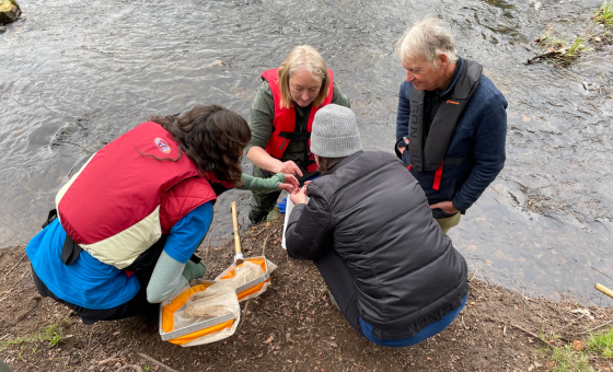 SmartRivers - Wildfish