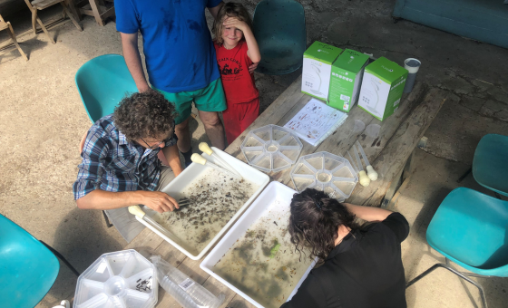 SmartRivers - Wildfish