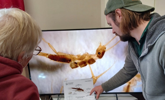 SmartRivers - Wildfish