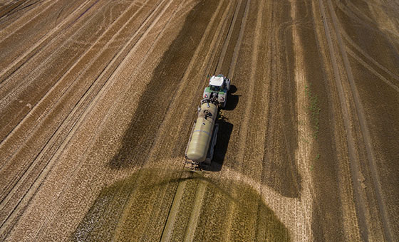 Agricultural Pollution - Wildfish