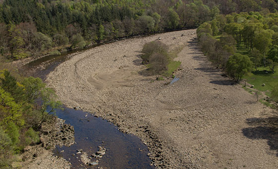 Water Supply - Wildfish