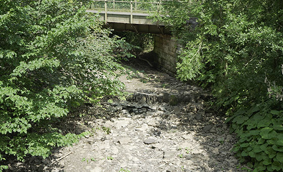 Water Supply - Wildfish