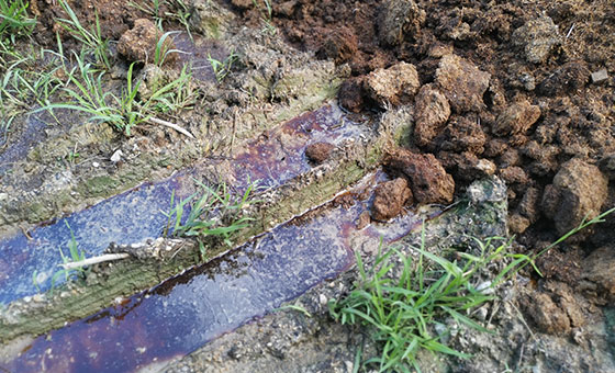 Agricultural Pollution - Wildfish