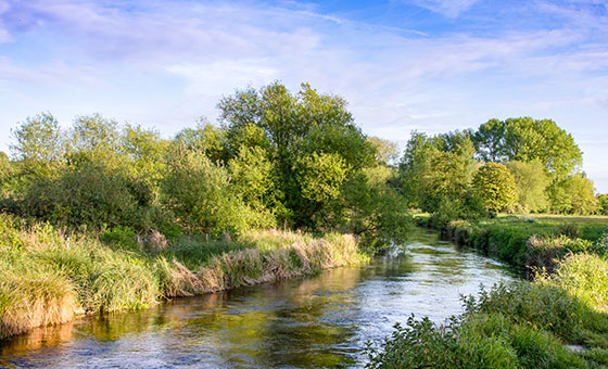 The Bakkavör Story - Wildfish