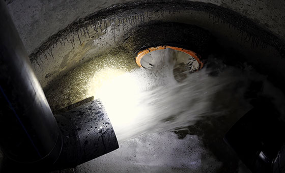 The Bakkavör Story - Wildfish