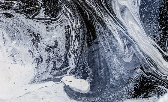 The Bakkavör Story - Wildfish