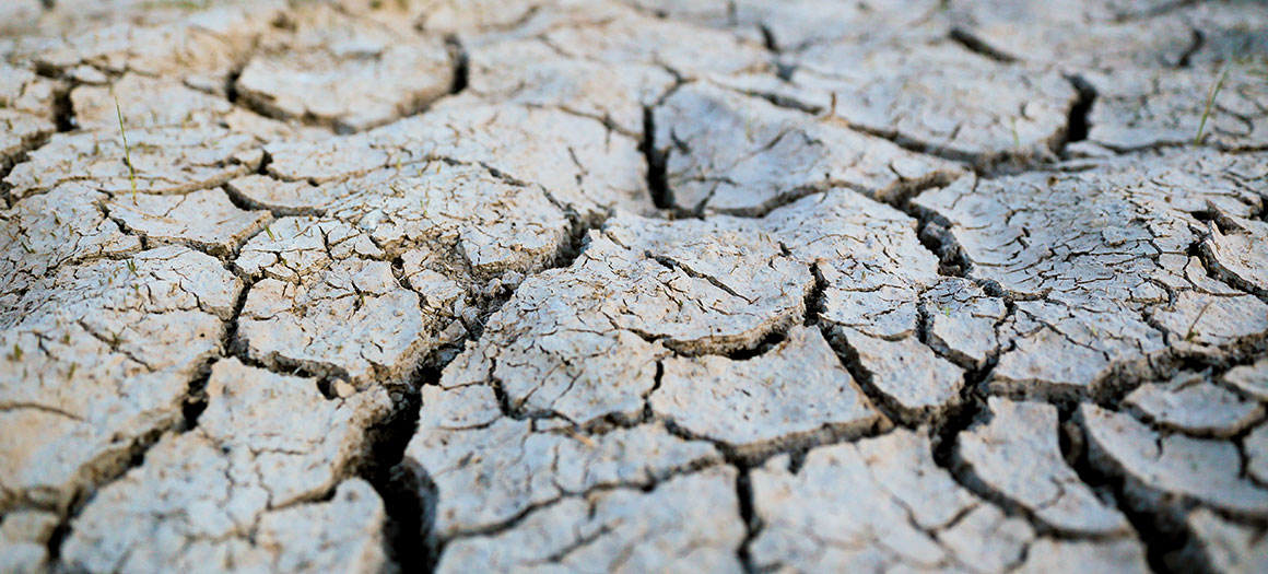 chalk-stream-news-insights-banner-1160x525-(1)