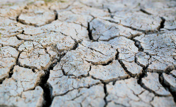 Chalk Streams - Wildfish