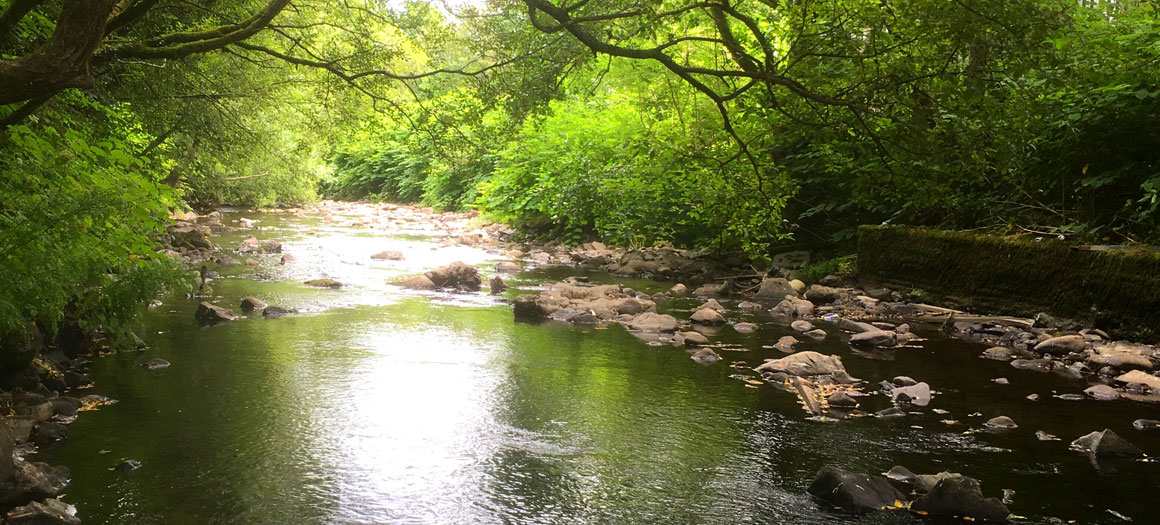 cynon-banner-1160x525