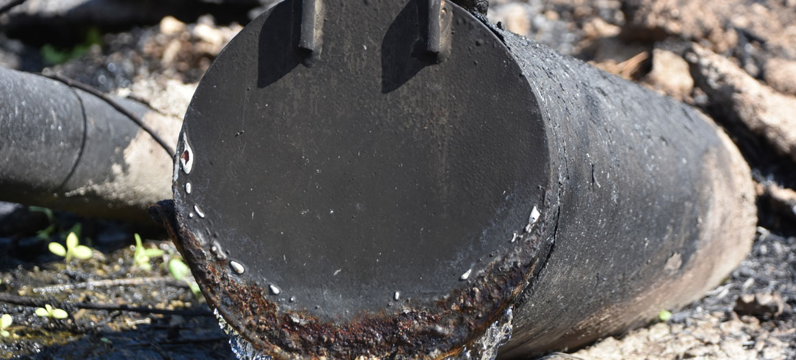 environmental-audit-banner-1160x525