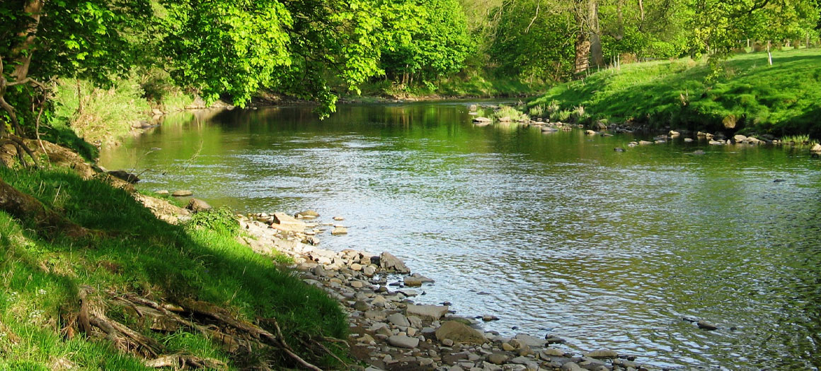 river-ribble-banner-1160x525