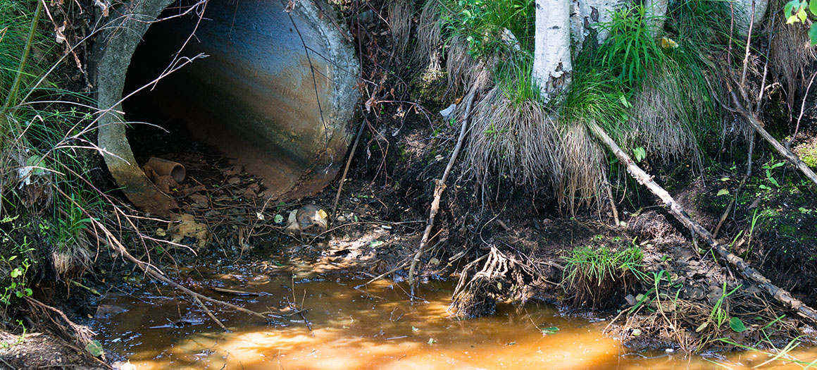 sewage-news-insights-banner-1160x525-(1)