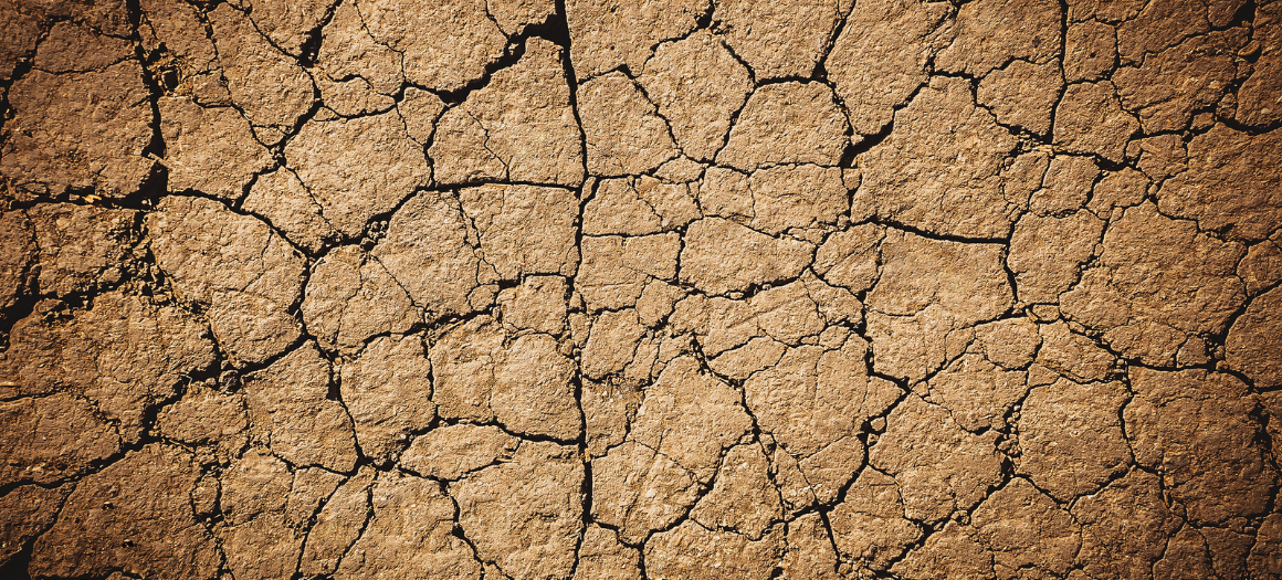 18.07.22_News main image_Drought blog