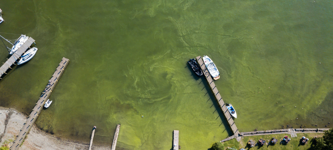 18.10.22_Windermere_news main image (1) Image caption: An arial view of Lake Windermere showing significant algal bloom that is caused by excessive levels of nutrients - such as phosphate - in the water.