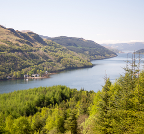 relief for Loch Long Wildfish