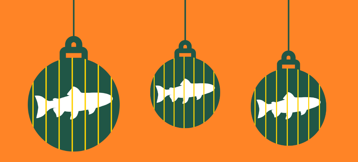 29.11.22_Xmas FR_news main image