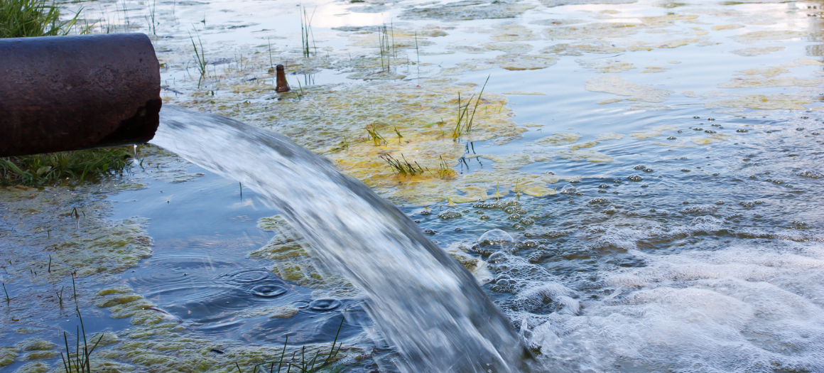 21.02.23_clean seas and rivers_main news image