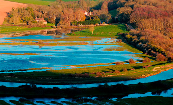 Fish Lens - Wildfish Fish Lens - Wildfish