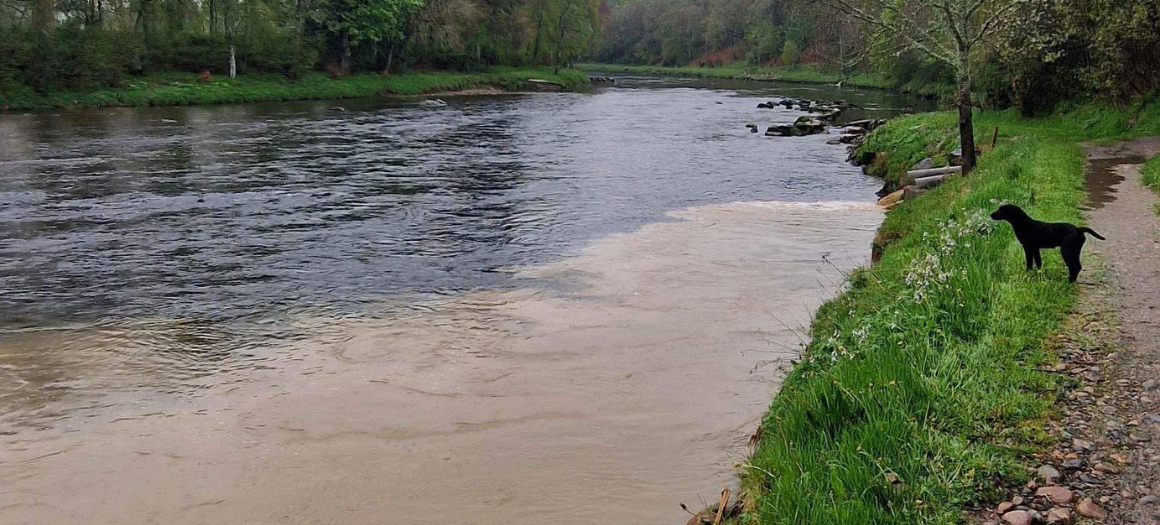 16.05.23_river dee pollution_main news image (1)