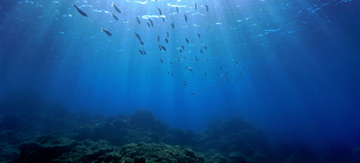 08.06.23_World Ocean Day_main news image