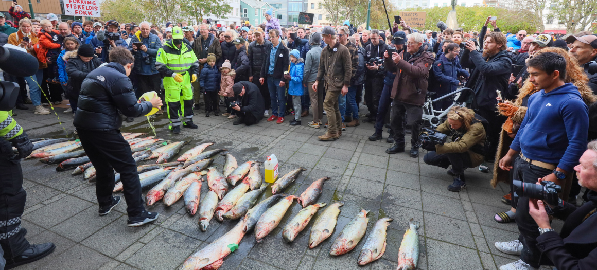 Iceland, Open-Net Fish Farms, and the Final Frontier for Wild Atlantic  Salmon - Patagonia Stories