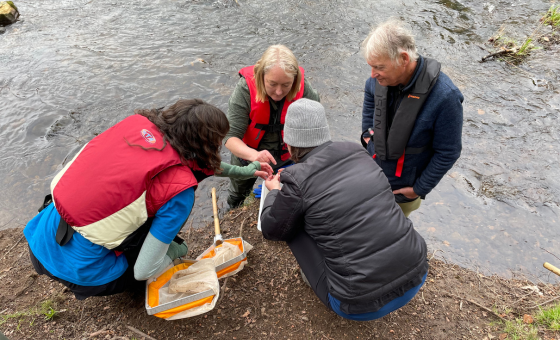 Freshwater Invertebrate Image Library - Wildfish