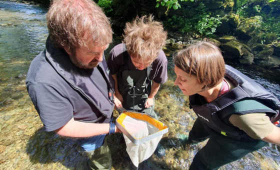 Freshwater Invertebrate Image Library - Wildfish