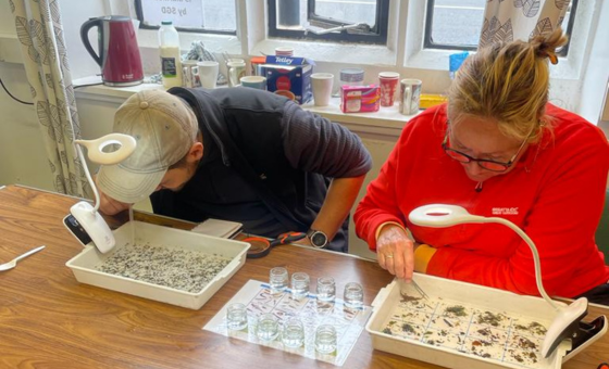 Freshwater Invertebrate Image Library - Wildfish