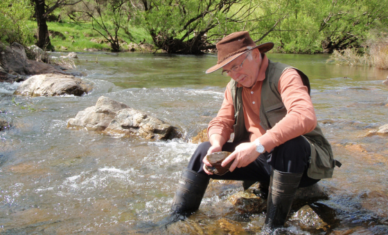 Freshwater Invertebrate Image Library - Wildfish