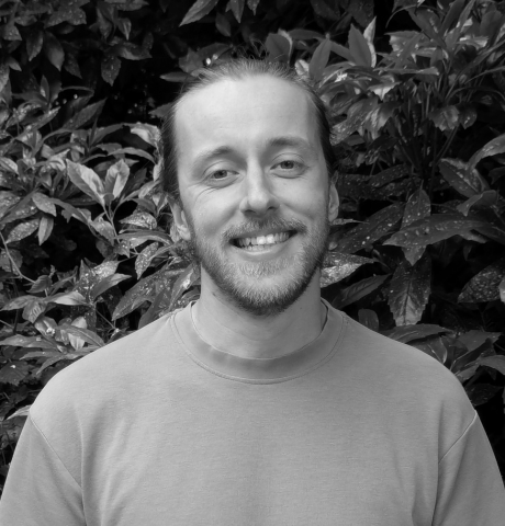 Paul Healey - Wildfish