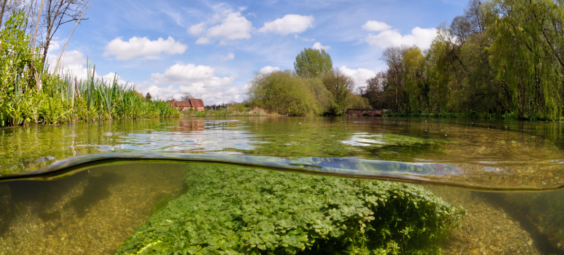 11.07.25_Chalk Streams Blog_main news image