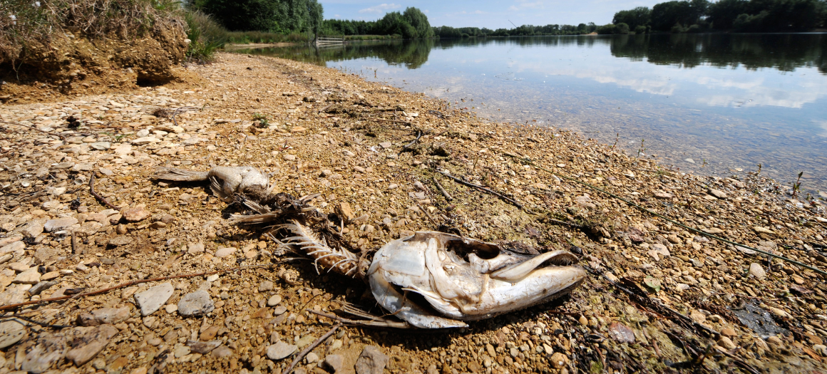 28.07.25_Climate Blog_main news image