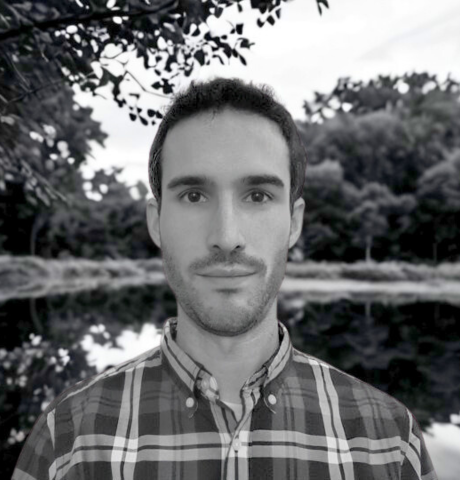 The role of autumn leaves in freshwater ecosystems - Wildfish