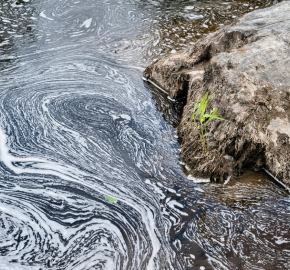 Farmers Pesticide Use records must be disclosed – Wildfish